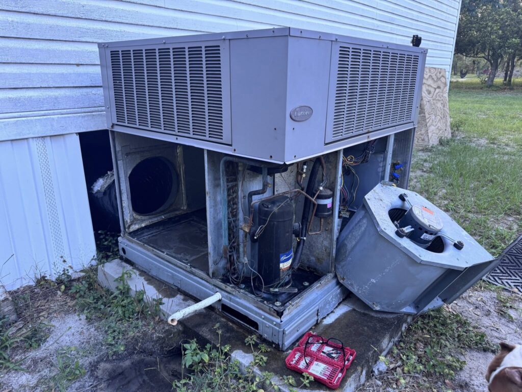 506296436 1392246668665683 9094638393404732354 n