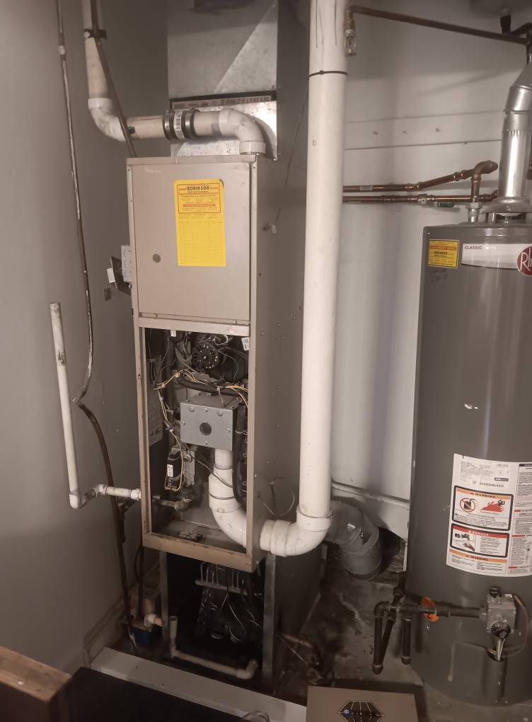 517679342 10214093602011841 1924732810446266545 n